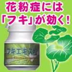 �y�t�L�G�L�X���z�^�e���r�ԑg�Łu�t�L�v���ԕ��ǌ��ސH�i�Ƃ��Ď��グ���܂����I�����ǂ��Ƃ����Ă������H�ׂ�̂͑�ρB�t�L�̖��Y�n�E���m�m���Y�̃t�L����t�L�G�L�X�����Z�x���o���ăT�v�������g�ɂ��܂����B�y���ꂱ���y���z